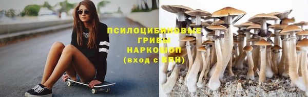 дмт Алзамай