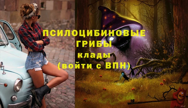 ALPHA-PVP Алексеевка